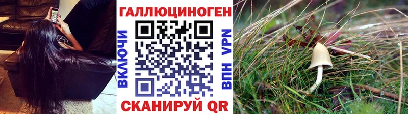 Псилоцибиновые грибы ЛСД  Купить где  Новопавловск 